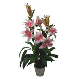 Leaf Artificial 90Cm (3Ft) Lily Stargazer Style Lillies Plant Large Flowers Pink