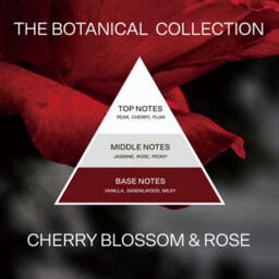 French Connection Botanical Infused Cherry Blossom & Rose Candle 660G - thumbnail 8