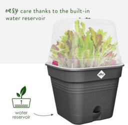Elho Green Basics Square All  In 1 Recycled Plastic Growpot 35Cm Living Black - thumbnail 5