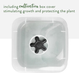 Elho Green Basics Square All  In 1 Recycled Plastic Growpot 35Cm Living Black - thumbnail 4