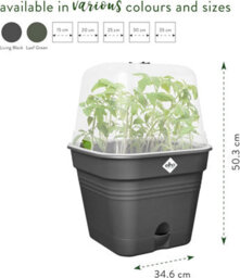 Elho Green Basics Square All  In 1 Recycled Plastic Growpot 35Cm Living Black - thumbnail 6