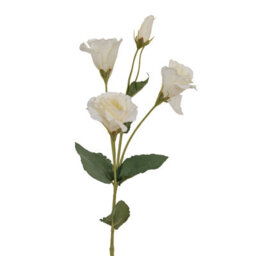 Wyld Haus Set Of 3 White Lisianthus Artificial Flower Sprays 690mm - thumbnail 2