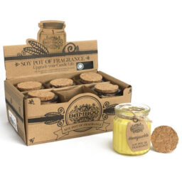 Honeysuckle Soy Pot Of Fragrance Candles - thumbnail 2