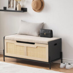 Storage Bench With 2 Hinge Flip-Top Shoe Bench Storage Trunk Chest - thumbnail 1