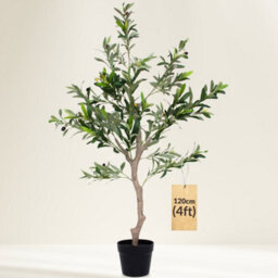 Novecrafto 120Cm Artificial Olive Tree With Decorative Pot & Mediterranean Stones - Realistic Indoor Faux Plant With Lifelike Leaves & Fruits