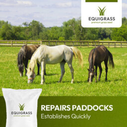 Lawns Direct™ Equigrass™ 15Kg Professional Grass Seed Repair Mix For Paddocks And Grazing Areas, Cover 1.5 Acres - thumbnail 2