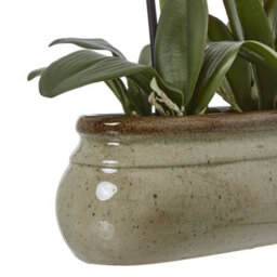Wyld Haus Large Green Artificial Orchid In Ceramic Pot 73 Cm Indoor Faux Plant - thumbnail 4