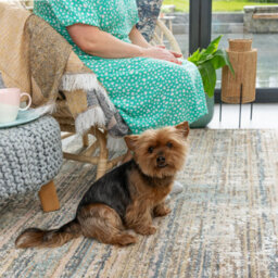 Loomed Beige Blue Living Area Rug Soft 160X230Cm - thumbnail 2