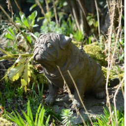 Full Size Pug Cold Cast Bronze Dog Statue - thumbnail 5