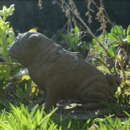 Full Size Pug Cold Cast Bronze Dog Statue - thumbnail 7
