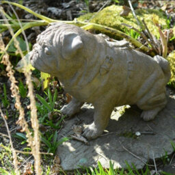 Full Size Pug Cold Cast Bronze Dog Statue - thumbnail 8