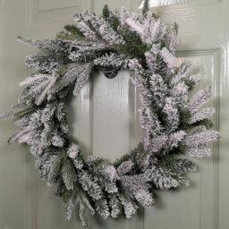 Samuel Alexander 45Cm Snow Flocked Wreath 84 Mixed Peorpvc Tips - thumbnail 3