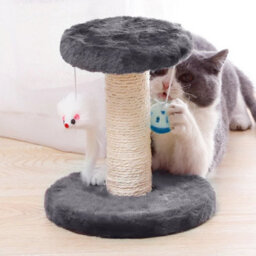 A Small 2 Tiers Grey 185Cm Cat Tree Activity Centre W/scratching Post Large Condo Hammock Bowl Ladder - thumbnail 3