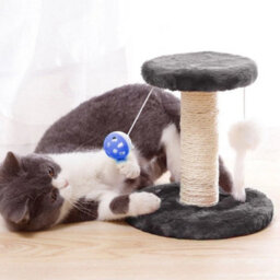 A Small 2 Tiers Grey 185Cm Cat Tree Activity Centre W/scratching Post Large Condo Hammock Bowl Ladder - thumbnail 4