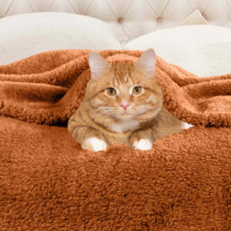 Ameha Fleece Plain Blanket, Lightweight & Reversible Throw For Travel, Bed & Sofa Blanket, Rust Single 130X150Cm - thumbnail 7