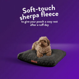 Slumberdown Paws For Slumber Sherpa Pet Bed Cover, Charcoal, Small - thumbnail 2