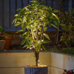 Smart Garden - Solar Powered String Lights Led 200 Warm White - thumbnail 1
