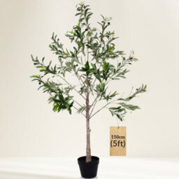 Novecrafto 150Cm Artificial Olive Tree With Decorative Pot & Mediterranean Stones - Realistic Indoor Faux Plant With Lifelike Leaves & Fruits