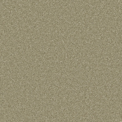 Furlong Flooring Provence Deluxe Carpet (Olive, 3M X 4M) - image 1
