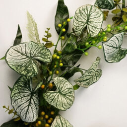 Leaf Artificial Hanging Trailing Plant Plant Alocasia Sinuata Botanik - thumbnail 2