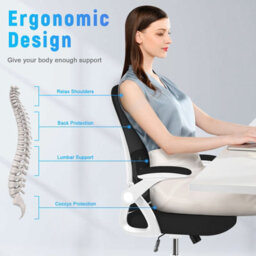 Onemill Ergonomic Office Desk Chair With Flip-Up Armrest Lumbar Support,padded Seat Cushion For Home And Office - thumbnail 3