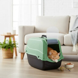 Urbn-Living Urbnliving Extra Large Enclosed Cat Litter Tray Filter Box Hooded Large Scoop Toilet Potty - Sage Green - thumbnail 3