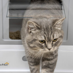 Pawhut Hooded Cat Litter Box, Pet Toilet W/ Scoop, Tray - Grey - thumbnail 9