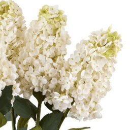 Hill Interiors Spear Hydrangea Artificial Flower White (One Size) - thumbnail 3