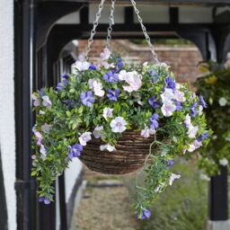 Smart Garden Pertunia Artificial Blue/ White Round Plastic Hanging Basket, 30Cm - thumbnail 2