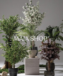 Artificial Excelsior Tree With Natural Logs 190Cm, Maia Bamboo Plant Home Decor - thumbnail 2