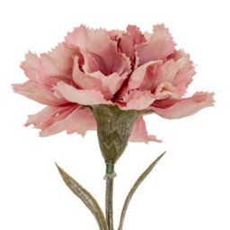 Hill Interiors Pink Carnation Stem Artificial Flower - Plastic - L11 X W10 X H56 Cm - Pink - thumbnail 3