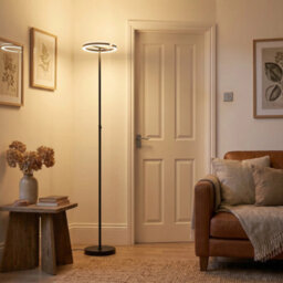 Happy Homewares Rgb And Cct Modern Led Halo Ring Black Floor Lamp With Remote Control - thumbnail 6