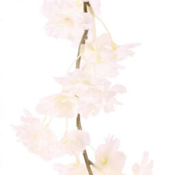 2.1M Blossom Garland - White Blossoms - thumbnail 4
