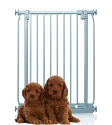 Bettacare Extra Tall Elite Dog Gate, 71Cm - 80Cm, Matt Grey, Extra Tall 96.8Cm In Height, Pressure Fit Pet Gate - thumbnail 1