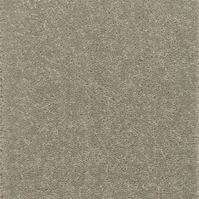 Tranquillity Platinum Bleach Cleanable Carpet By Remland (Ashen Tan, 4M X 5M) - image 1
