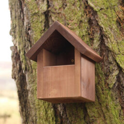Buttercup Farm Open Fronted Apex Bird Box - European Softwood - L16.5 X W20 X H23.5 Cm - thumbnail 3