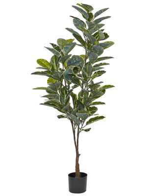 Wyld And Coco 160Cm Artificial Ficus Potted Plant Green-Black With Cement Base - image 1