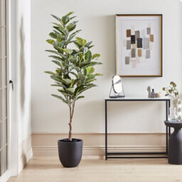 Wyld And Coco 160Cm Artificial Ficus Potted Plant Green-Black With Cement Base - thumbnail 2