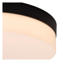 Lucide Biskit Modern Flush Ceiling Light Bathroom 23Cm - Led - 1X12W 2700K - Ip44 - Black - thumbnail 5