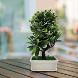 3Pcs Artificial Bonsai Tree - Fake Plant In Pot Artificial Plants Japanese Pine Bonsai Plant For Home Decoration - thumbnail 7