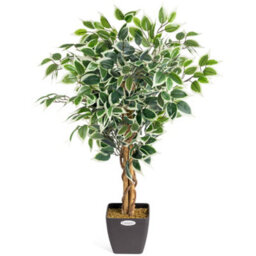 Christow Artificial Variegated Ficus Tree Realistic Faux House Plant In Pot 3Ft - thumbnail 1