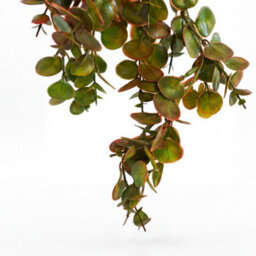 Pack Of 6 X 75Cm Artificial Trailing Round Leaf Hanging Foliage Plant - Autumn Green & Bronze - thumbnail 2