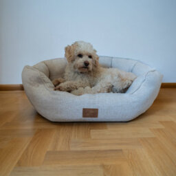 All Pond Solutions Allpetsolutions Alfie Premium Luxury Dog Bed Ivory Cream - S/m/xl