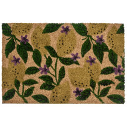 Beliani Doormat Tazlina Multicolour 40 X 60 Cm Lemon Coir