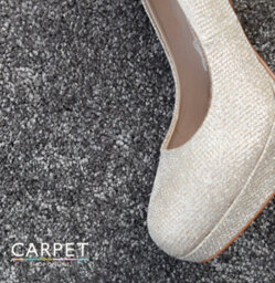 Carpet Shop Online Havana Iron Ash Grey Saxony Carpet 4M X 4M - thumbnail 7