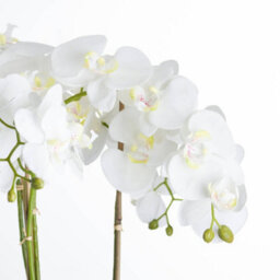 Wyld Haus Large Artificial White Orchid In Textured Stone Pot - thumbnail 3