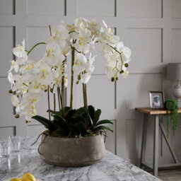 Wyld Haus Large Artificial White Orchid In Textured Stone Pot - thumbnail 4