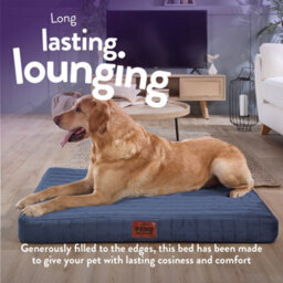Anti-Anxiety Blue Pet Bed For Dogs - Slumberdown Orthopaedic & Washable, Large - thumbnail 3