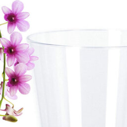 B2C Plant Orchid Pot Plastic Gloss Oval Planter Transparent Clear 12Cm Clear Round - thumbnail 2