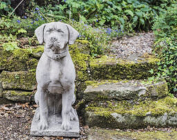 Large Life-Size Hunting Dog Stone Garden Ornament - thumbnail 5